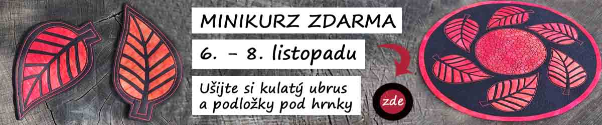 Minikurz zdarma